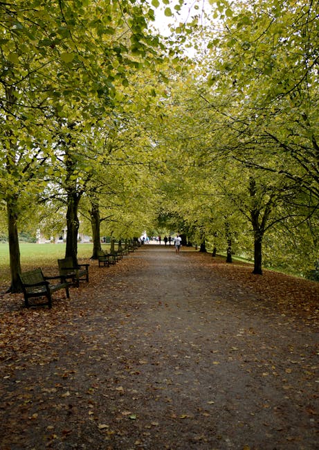 A serene park scene during daylight featuring a winding dirt pathway bordered by dense greenery and tall trees with lush foliage in shades of green and hints of yellow. On the left side of the path, t